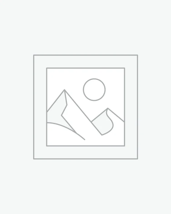 Uncategorized